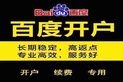 百度竞价广告成功案例：如何快速提升品牌曝光度